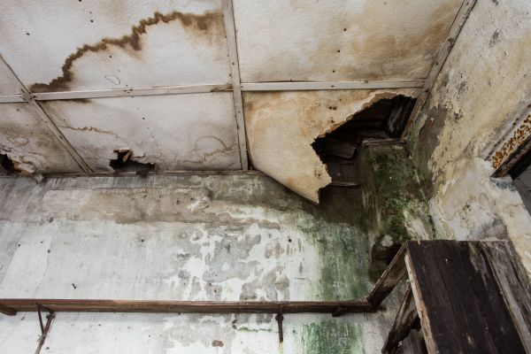Water Damage Service in Daytona Beach