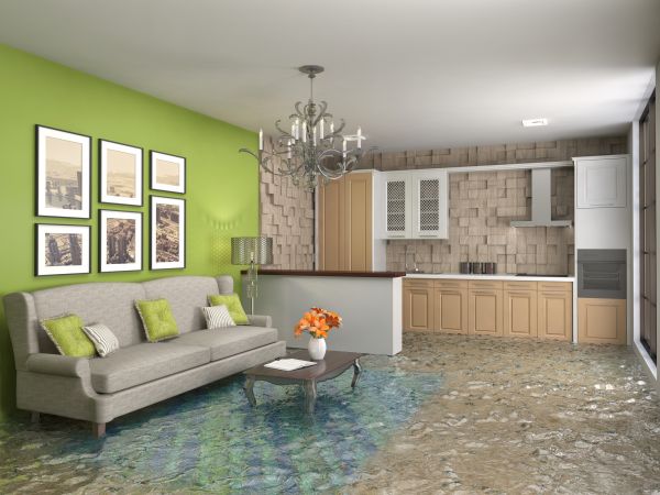 Wet Carpet Drying in Daytona Beach