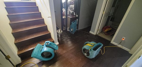 Water Damage Remediation in Daytona Beach