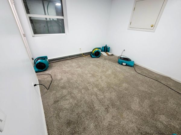 Flood Restoration Service in Daytona Beach