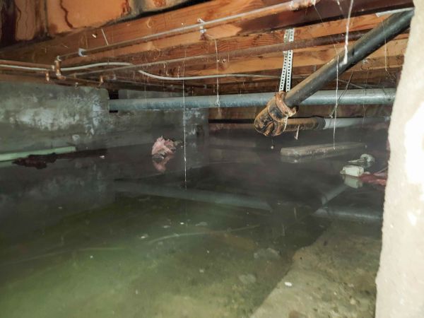 Water Mitigation Service in Daytona Beach