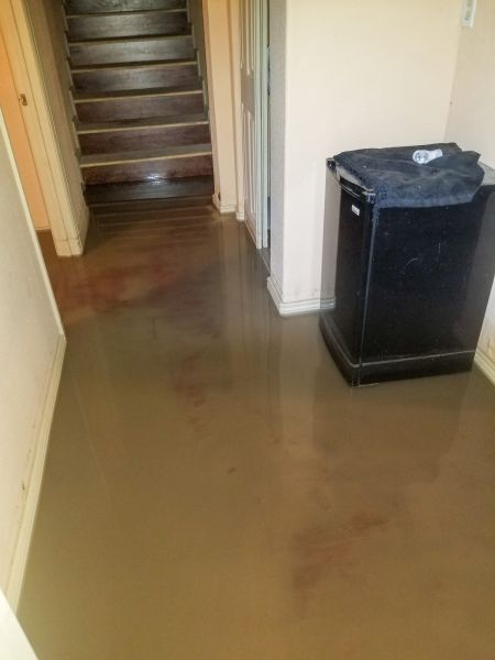 Emergency Water Removal in Daytona Beach