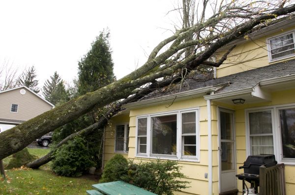 Storm Damage Mitigation in Daytona Beach