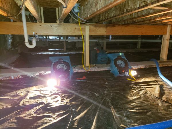 Crawlspace Water Removal in Daytona Beach